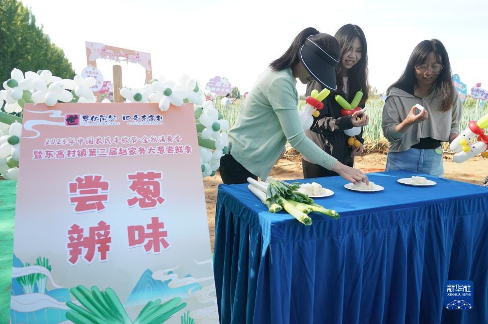 世爵用户登录平台注册
